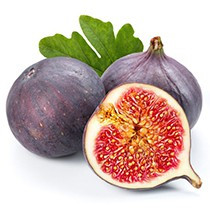 Fig